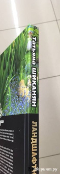 Татьяна Шиканян: Ландшафтный дизайн