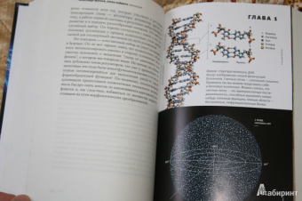 Марков, Наймарк: Эволюция. Классические идеи в свете новых открытий