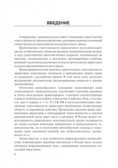 Сергей Шикин: Особенности оснований ответственности директоров корпораций