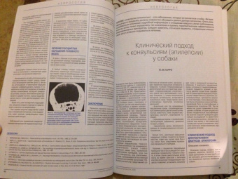 Неврология домашних животных