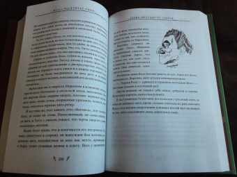 Мервин Пик: Титус один. Книга 3