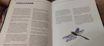 Раймунд Фрей: Динозавры в натуральную величину