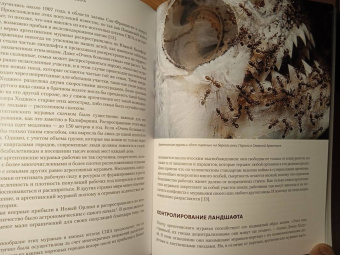 Марк Моффетт: Приключения среди муравьев. Путешествие по земному шару с триллионами суперорганизмов