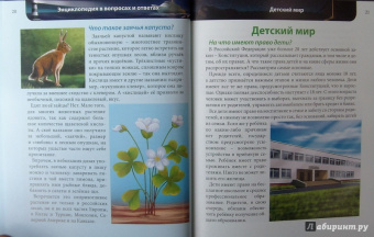 Оксана Балуева: Хочу знать. В вопросах и ответах