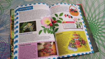 Растительный мир России. Популярная детская энциклопедия