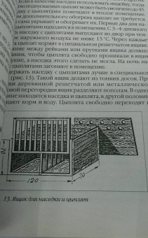 Эдуард Бондарев: Птицеводство для начинающих. Куры, индейки, перепела