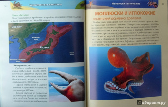 Ольга Тяжлова: Удивительные животные