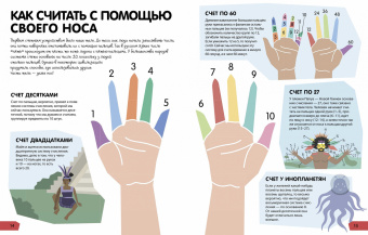 Дэвис, Мубин: Зачем нужна математика?