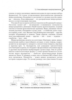 Остапова, Остапов, Виноградова: Основы микробиологии и инфекционная безопасность. Учебник