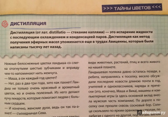 Валентина Мальцева: Открываем тайны леса