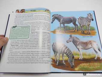 Леся Калугина: Хочу знать. Лошади