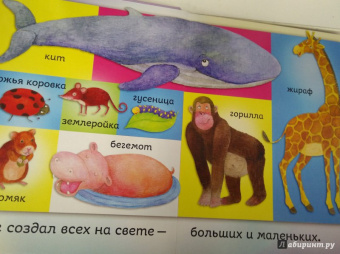 Bethan James: Бог создал меня