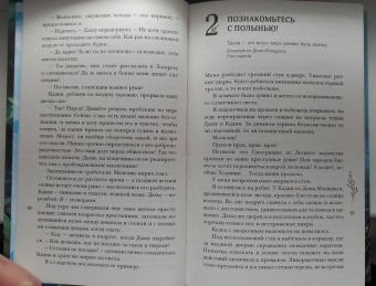 Антонина Крейн: Шолох. Теневые блики