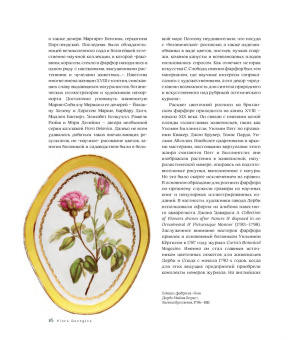 Flora Georgica. Гербарий на фарфоре