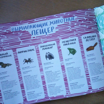 Изабелла Баннелл: На грани исчезновения