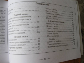 Курс каллиграфии и конторской скорописи. Книга 1