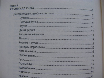 Наталия Замятина: Кухня Робинзона. Рецепты блюд из дикорастущих и декоративных растений