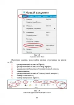 Борис Бурняшов: Офисные пакеты Мой Офис, Р7-Офис. Практикум. Учебное пособие
