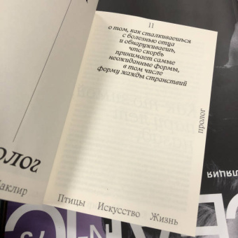 Кио Маклир: Птицы, искусство, жизнь. Год наблюдений