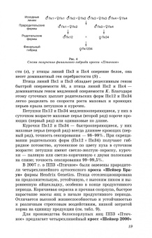 Бессарабов, Крыканов, Могильда: Технология производства яиц и мяса птицы на промышленной основе. Учебное пособие