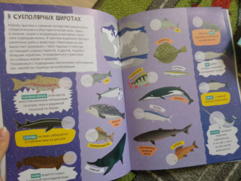 Сергей Петрушин: Детский атлас подводного мира с наклейками
