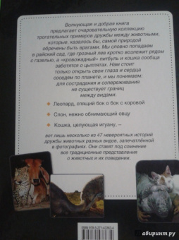 Дженнифер Холанд: Невероятная правда о дружбе:  47 историй в фотографиях об удивительной дружбе животных