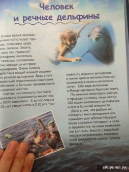 Чернецкий, Краснова: Где живут дельфины? И чего мы не знаем о самых общительных животных