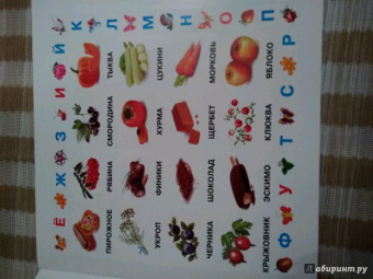 Живые буквы. 250 наклеек