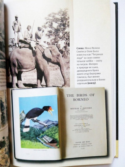 Ричард Докинз: Неутолимая любознательность:  как я стал ученым