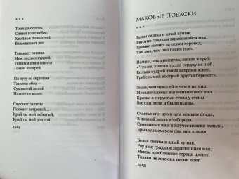 Сергей Есенин: Я московский озорной гуляка