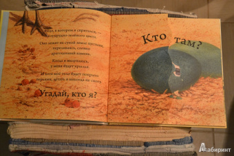 Кто спрятался?