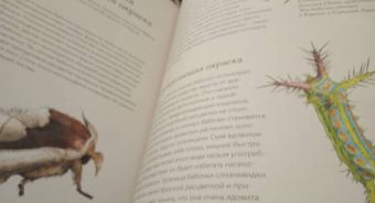 Бен Ротери: Загадочный мир бабочек