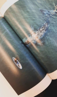 Россия - самая красивая страна. Фотоконкурс 2020