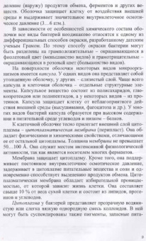 Александр Луканин: Процессы и аппараты биотехнологической очистки сточных вод. Учебное пособие