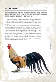 Фрэнсис Бэссом: Курочки. Популярные породы и содержание. Иллюстрированная энциклопедия
