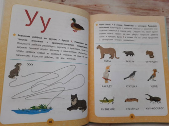 Ирина Праведникова: Нейробукварь. Уникальная методика обучения чтению и развития ребенка
