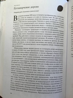 Джонатан Дрори: Вокруг света за 80 деревьев