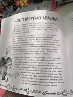 Екатерина Степаненко: Археологические открытия. Города, гробницы, сокровища