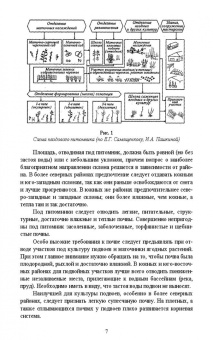 Кривко, Чулков, Огнев: Питомниководство садовых культур. Практикум. Учебное пособие. СПО
