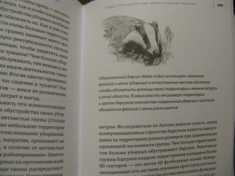 Мадлен Циге: В лесу никто не молчит. Как животные и растения общаются друг с другом