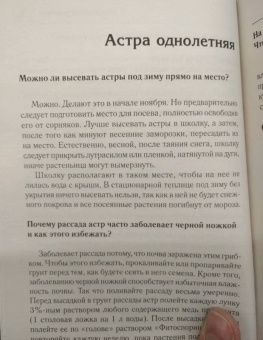 Галина Кизима: Красивый цветник. Ответы на главные вопросы