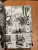 ONE: One-Punch Man. Книга 12