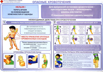 Бубнов, Бубнова: Первая медицинская помощь в чрезвычайных ситуациях (12 плакатов)