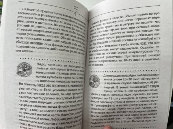 Галина Кизима: Неприхотливый цветник. Правила и советы для начинающих