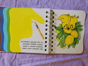 Цвета