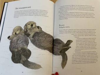 Бен Ротери: Океан и его обитатели