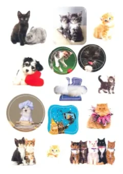 Мои милые котята. С наклейками