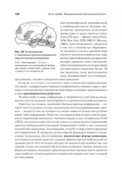 Александр Лурия: Основы нейропсихологии
