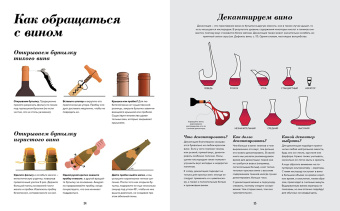 Пакетт, Хэммек: Wine Folly. Издание Магнум, детализированное