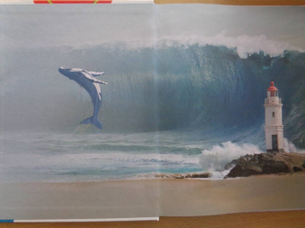 Третьякова, Ликсо, Кошевар: Планета Земля